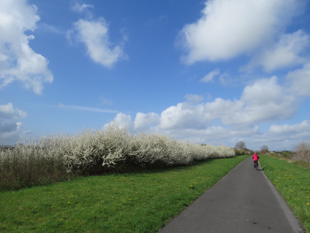 kanaal Gent-Brugge