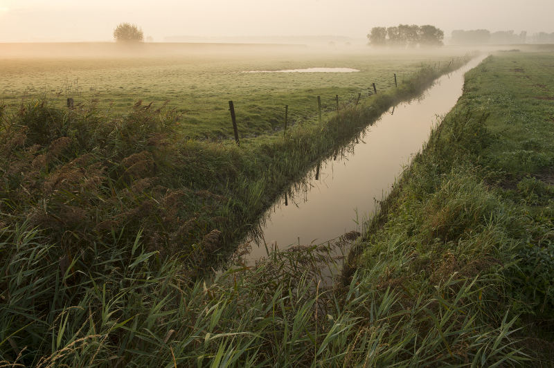 gruttoweide Sint-Laureins